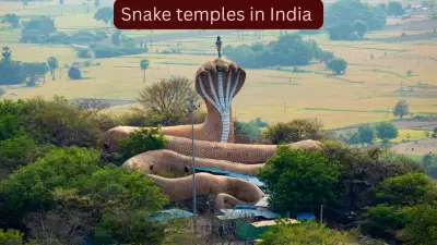 5 Snake Temples in India: Devotees and Curious Travellers Flock Here