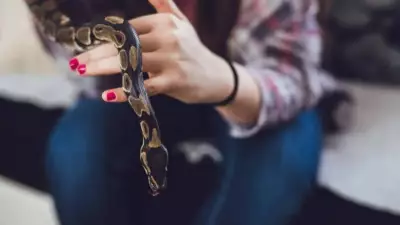 6 Common Mistakes People Make When They Suddenly Spot a Snake