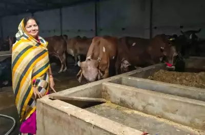 60-year-old woman earns Rs 1.25 lakh monthly from dairy farming in UP