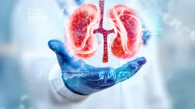 7 Essential Tips to Prevent Kidney Damage in Diabetes Patients