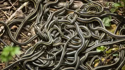 7 Fascinating Snakes That Give Birth to Live Young Instead of Laying Eggs