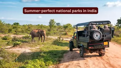 7 Summer-Perfect National Parks in India for an Unforgettable Escape