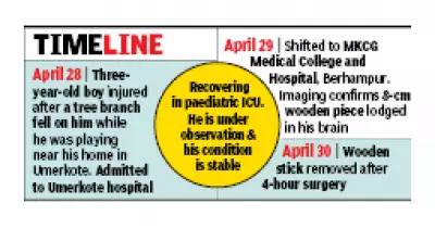 8cm twig removed from 3-year-old boy's brain in Berhampur surgery