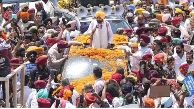AAP Wins Big in Punjab Civic Polls, Congress Second, BJP Improves