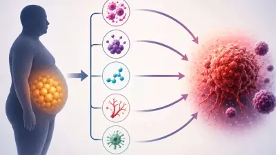 Adult Weight Gain Linked to Significantly Higher Cancer Risk, Study Finds