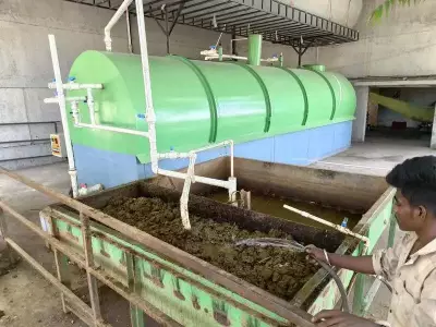Ahmedabad Converts Stray Cattle Dung into Biogas and Electricity