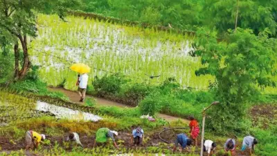 AI-Powered Rainfall Forecast System Launched in Uttar Pradesh