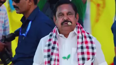 AIADMK won't join Vijay govt, says Congress MP Manickam Tagore