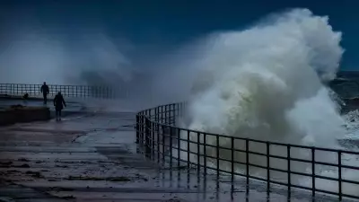 Alaskan Fjord Megatsunami Second Tallest Wave Ever Recorded