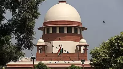 Allahabad HC Can Grant Bail After SC Cancellation With Fresh Grounds