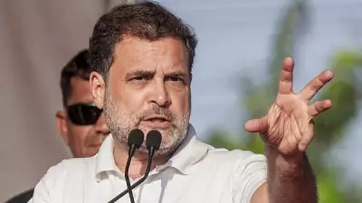 Allahabad HC Orders CBI, ED Probe into Rahul Gandhi's Assets