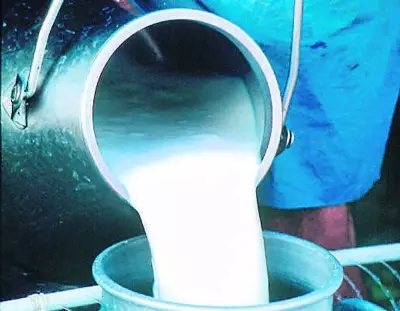 Amul Hikes Milk Prices by Rs 2 Per Litre Across Multiple Variants