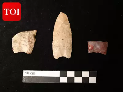 Ancient Stone Tools Reveal Ice Age Megafauna Hunting in Eastern US