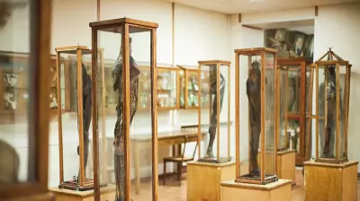 Archaeology Dept Plans Museum at Chhatrapati Sambhajinagar Town Hall