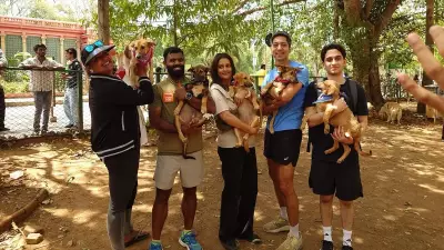 Bengaluru Pet Adoption Drive Promotes Indie Dogs Amid Stray Dog Anxiety