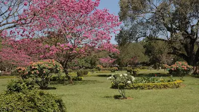 Bengaluru Session to Explore City's Identity on May 31