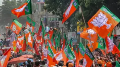 BJP Sweeps Dharamshala Municipal Polls with 11 Seats, Congress Gets 5