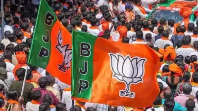 BJP Wins Mandi Municipal Corporation Elections with 12-Ward Majority