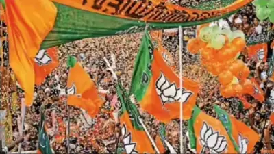BJP's Single Seat Win in Tamil Nadu 2026 Highlights Regional Resistance