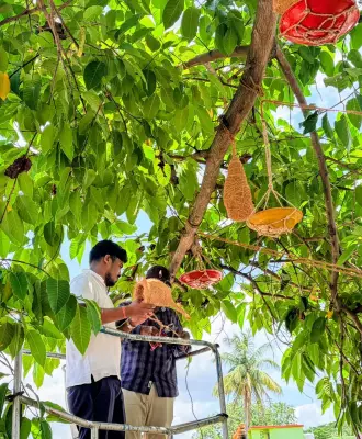 BMC Installs 150 Artificial Nests in Bhubaneswar to Protect Birds from Heat