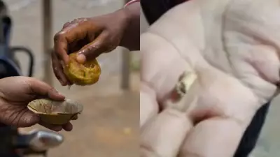 Bone Found in Panipuri in Ahmedabad, Stall Removed by Civic Body