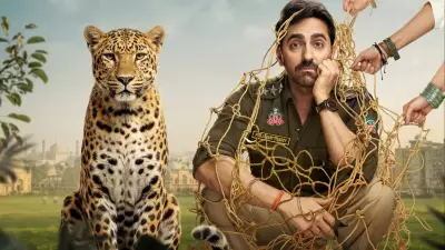 Box Office Report: Pati Patni Aur Woh, Do Chand, Mera Dil, Karuppu, Drishyam 3