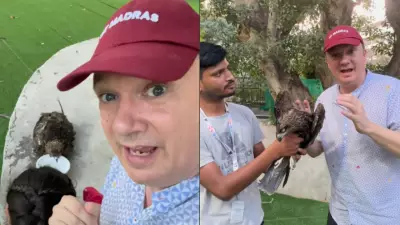 British man rescues dehydrated bird in Delhi heatwave, wins praise online