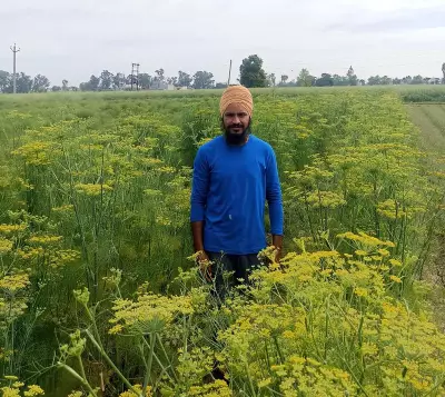 BTech Grad Finds Peace and Purpose in Organic Farming