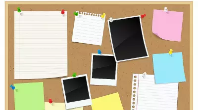 Bulletin Board: Key Education Updates and Announcements