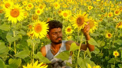 Cabinet Approves Higher MSP for 14 Kharif Crops for 2026-27