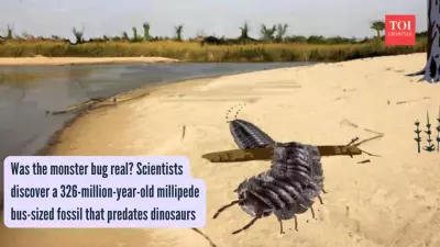 Car-Sized Millipede Roamed Earth 326 Million Years Ago, Fossil Reveals