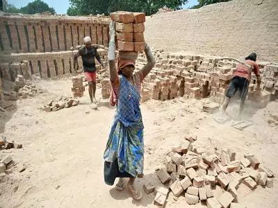 Chhattisgarh, Odisha, Jharkhand Show Highest Minimum Wage Gap in India: SBI Report
