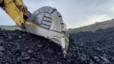 Coal India OFS: Govt to Sell 2% Stake at Rs 412/Share Floor Price