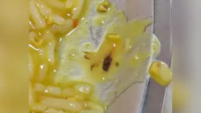Cockroach Found in Dal at Delhi Hospital Doctors' Mess, Inquiry Ordered
