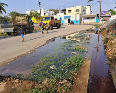 Coimbatore Faces Sanitation Crisis Due to Shortage of Sanitary Workers
