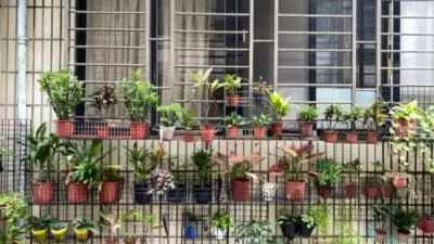 Cool Roof Garden Trend: How to Start One in Indian Apartments