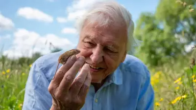 David Attenborough’s 100-Year Legacy: From BBC to Climate Advocacy