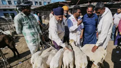 Delhi Forms Rapid Response Teams to Prevent Illegal Animal Sacrifice During Bakrid