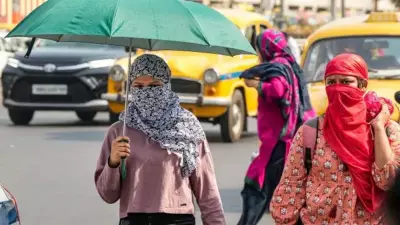 Delhi to Launch Solar Huts Pilot Project in Shalimar Bagh to Beat Scorching Heat