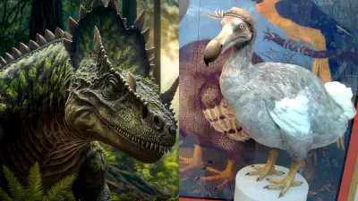 Dinosaurs and De-Extinction: Science, Ethics, and Human Fascination
