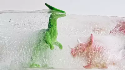 DIY Ice Experiments: Fun Science Activities for Kids at Home
