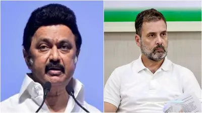DMK Accuses Congress of Betrayal After Alliance with TVK in Tamil Nadu