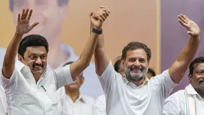 DMK Slams Congress as 'Backstabbers' Over Support to Vijay's TVK in Tamil Nadu