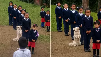 Dog Quietly Joins School Prayer in Sikkim, Wholesome Clip Melts Hearts
