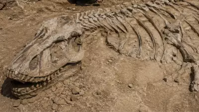 Dog Walk Leads to Discovery of 70-Million-Year-Old Titanosaur Skeleton in France
