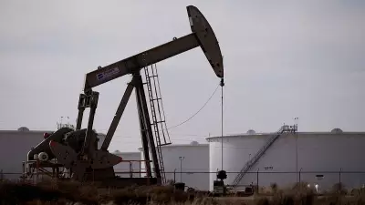 Domestic crude oil futures fall amid weak spot demand