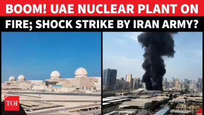 Drone Strike Hits UAE Nuclear Plant, No Radioactive Leak Reported