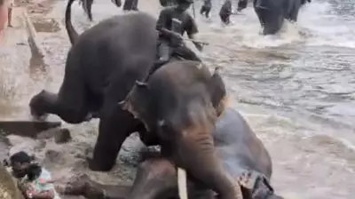 Dubare Tragedy Exposes Fatal Safety Risks in Tourism