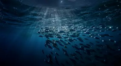 Earth's Greatest Hidden Migration: Trillions of Creatures Rise From the Deep Every Night