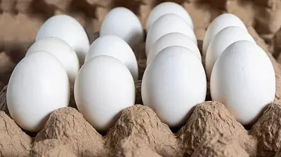 Eating 5 Eggs Daily Lowers Alzheimer's Risk by 27% for Seniors Aged 65+